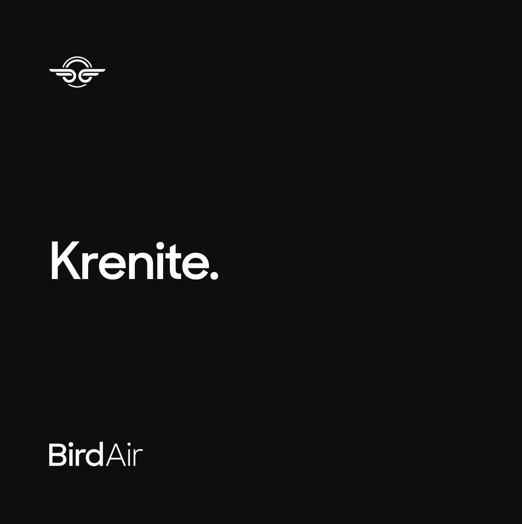 Bird_Air_Cover_-_Croatain.png
